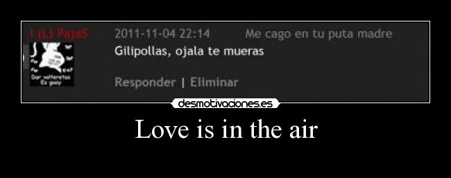 Love is in the air - 