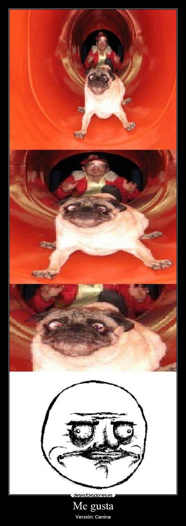 Me gusta - Versión: Canina