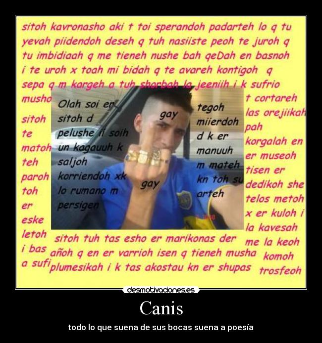 Canis - 