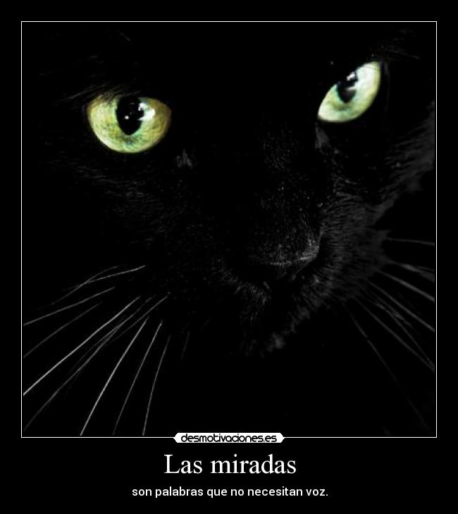 Las miradas -