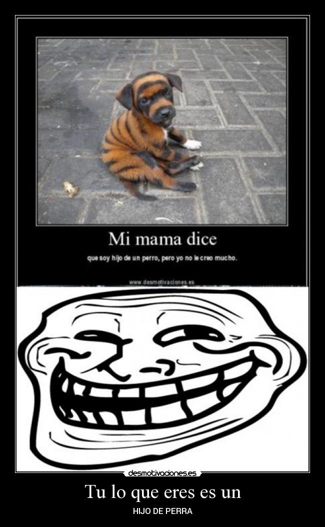 Tu lo que eres es un -