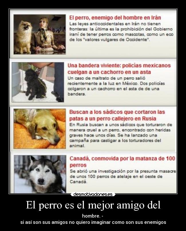 El perro es el mejor amigo del - 