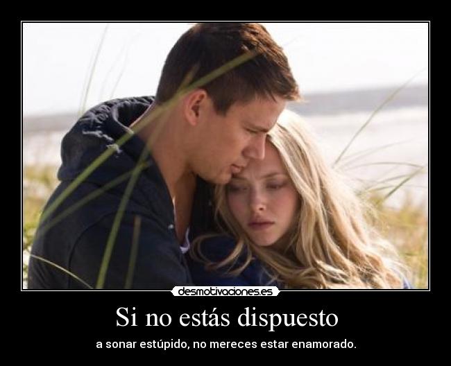 carteles etas dispuesto sonar estupido mereces estar enamorado desmotivaciones