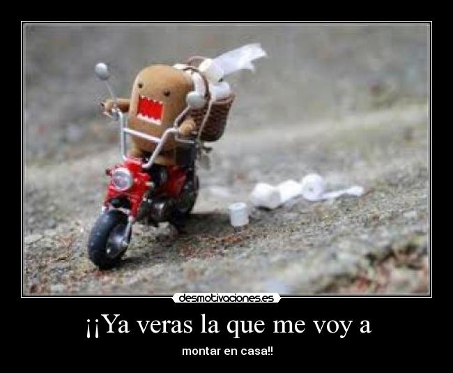 ¡¡Ya veras la que me voy a - montar en casa!!