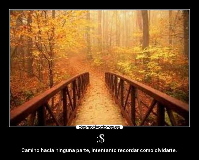 :$ - Camino hacia ninguna parte, intentanto recordar como olvidarte.