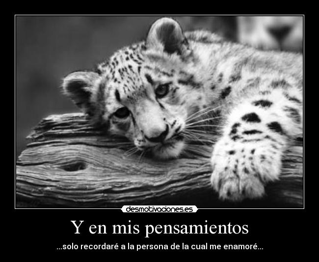 carteles pensamientos dreadk felicitaciones nersa por cartel con 100 votos jajaja pazzzzzzz desmotivaciones