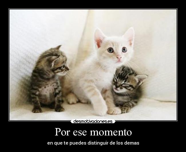 Por ese momento -