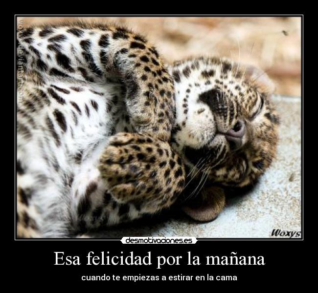 Esa felicidad por la mañana - 