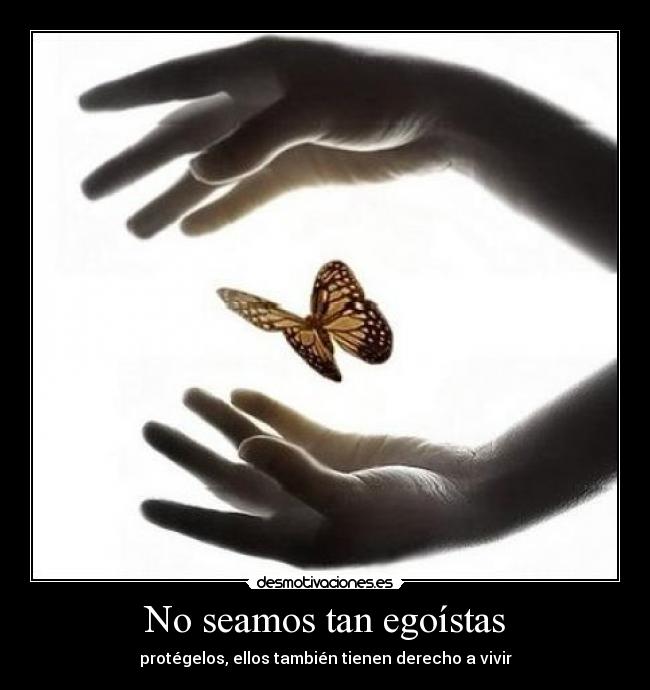 No seamos tan egoístas - protégelos, ellos también tienen derecho a vivir