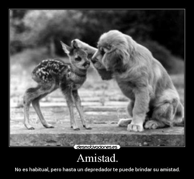 Amistad. -