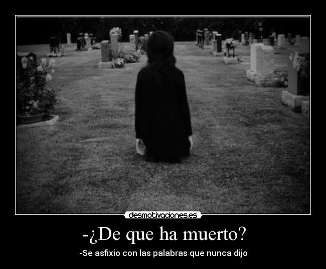 carteles que descanse paz amo los erizos soy una eriza desmotivaciones