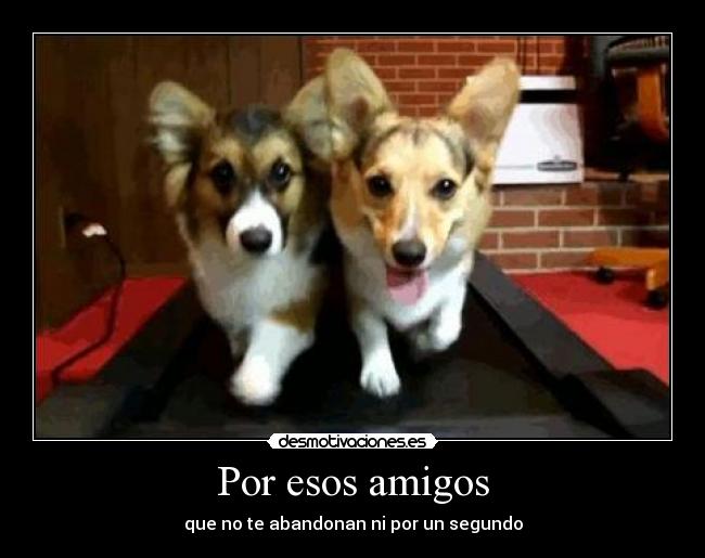 Por esos amigos -