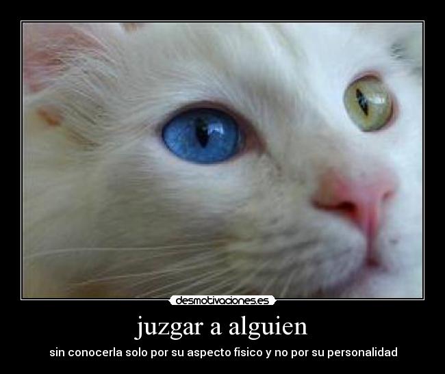 juzgar a alguien - sin conocerla solo por su aspecto fisico y no por su personalidad