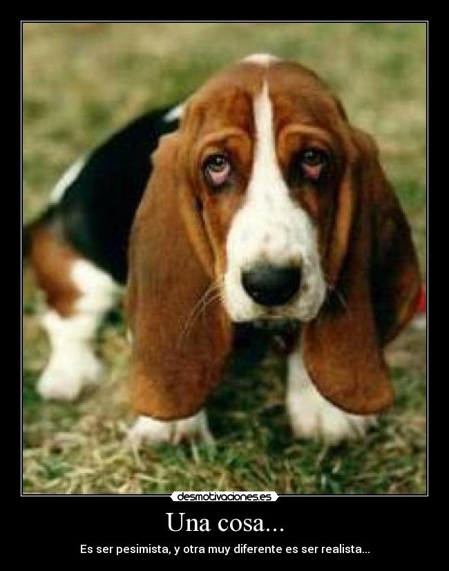 carteles angeva desmotivaciones