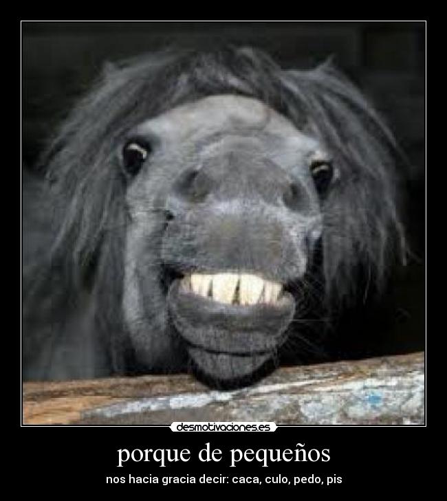 porque de pequeños -
