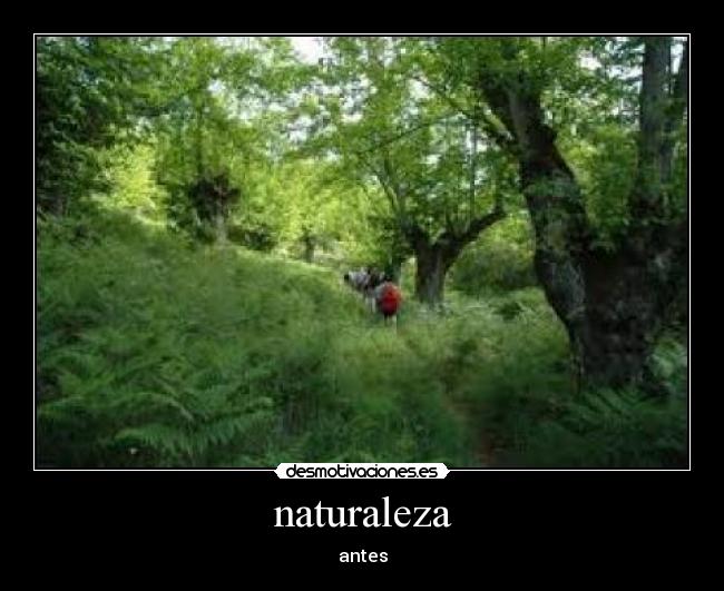 naturaleza - antes