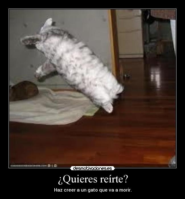 carteles misetiquetassonmias cartel una mierda esto que pasa cuando tienes nada que hacer desmotivaciones