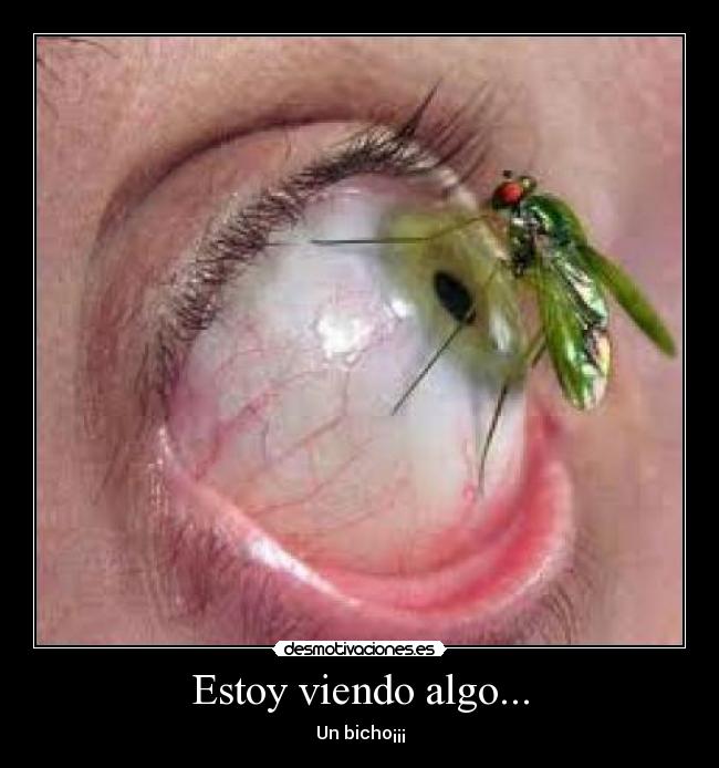 Estoy viendo algo... -