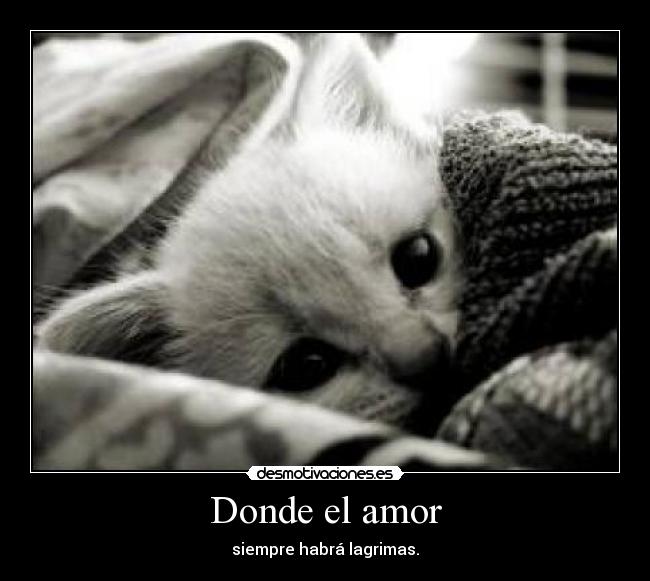 Donde el amor - 