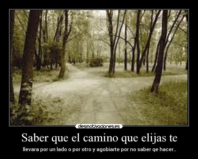 Saber que el camino que elijas te - 