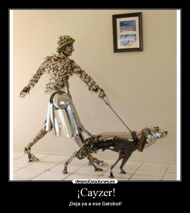 ¡Cayzer! - ¡Deja ya a ese Gatobot!