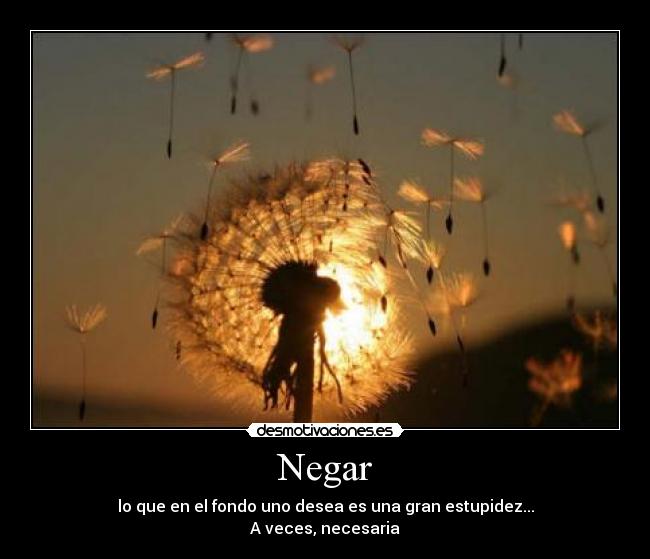 Negar -