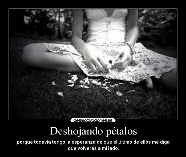Deshojando pétalos -