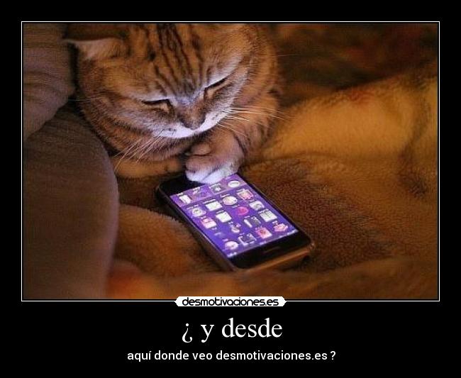¿ y desde - aquí donde veo desmotivaciones.es ?