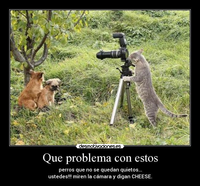 carteles que aburrimiento jajajajaja desmotivaciones