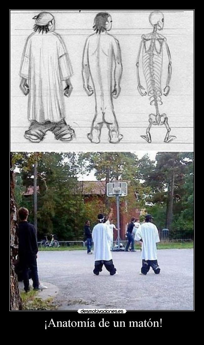 carteles cambios del cuerpo humano desmotivaciones