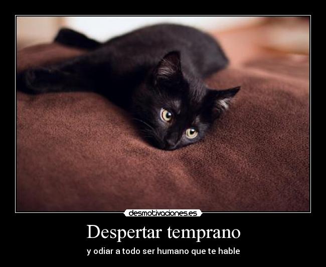 Despertar temprano - y odiar a todo ser humano que te hable