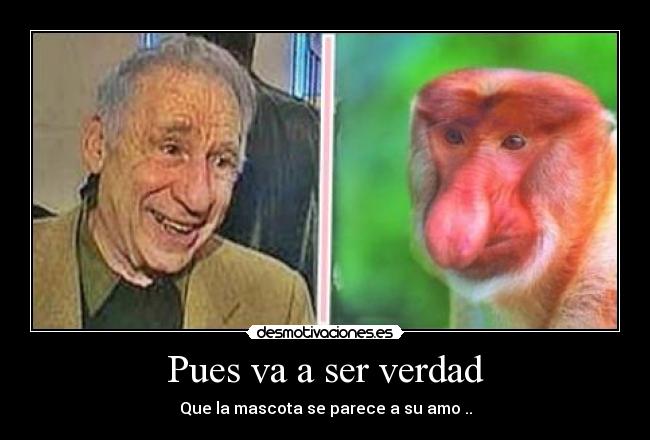 carteles pues ser verdad desmotivaciones