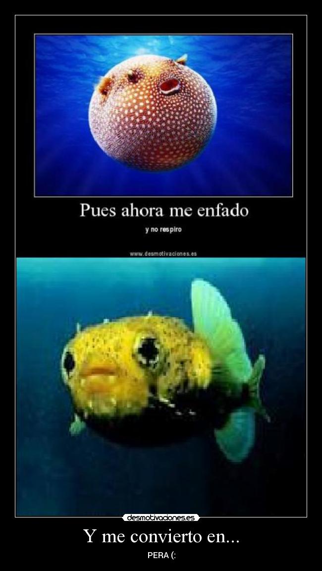 Y me convierto en... - PERA (: