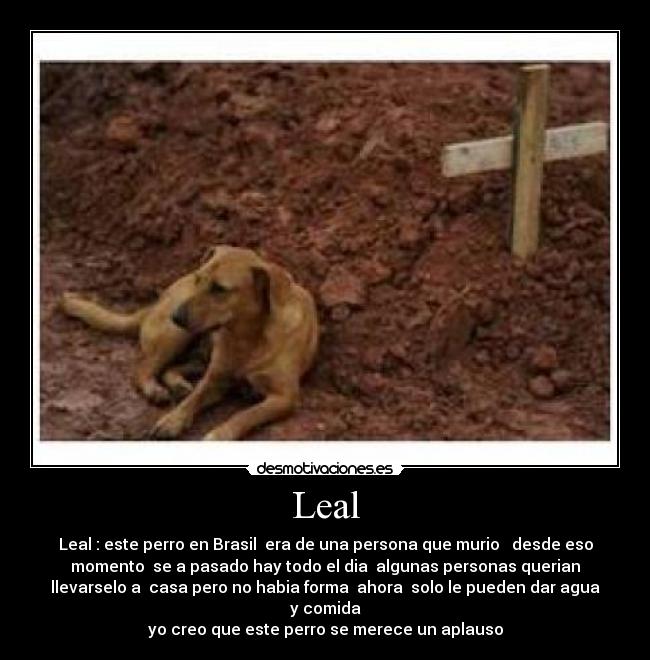 Leal - 