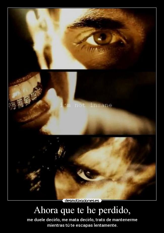 Ahora que te he perdido, -