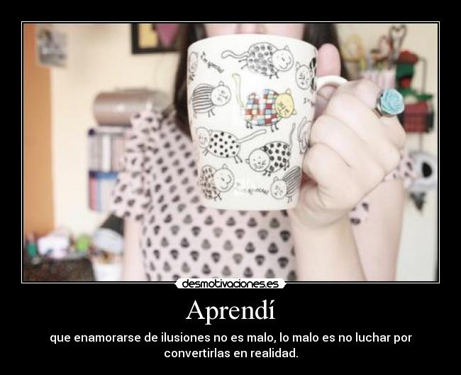 Aprendí - que enamorarse de ilusiones no es malo, lo malo es no luchar por
convertirlas en realidad.