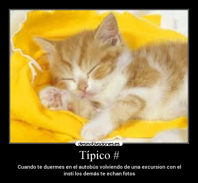 Típico # -