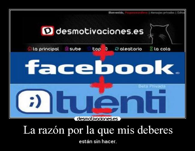 La razón por la que mis deberes - 