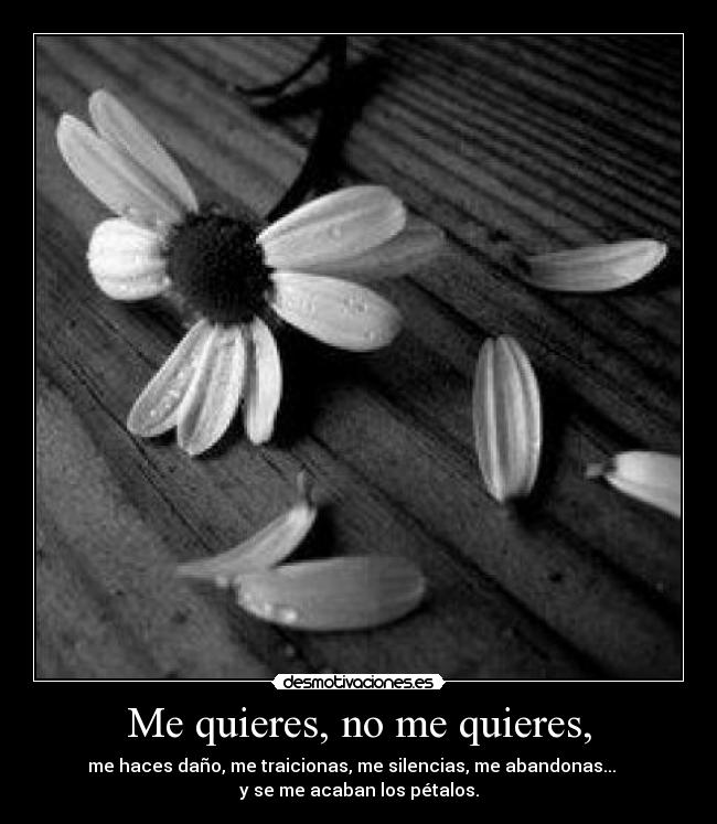 Me quieres, no me quieres, - me haces daño, me traicionas, me silencias, me abandonas...   
y se me acaban los pétalos.