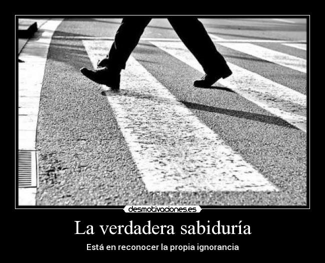 La verdadera sabiduría - Está en reconocer la propia ignorancia