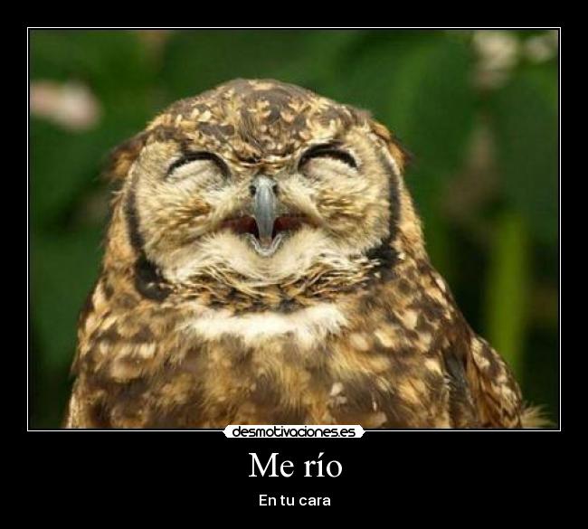 Me río - En tu cara