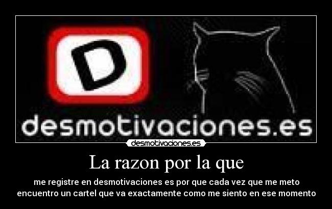 La razon por la que - 