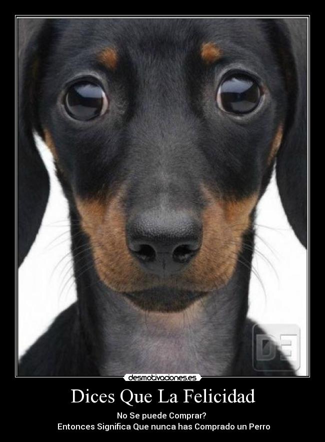 Dices Que La Felicidad - No Se puede Comprar?
Entonces Significa Que nunca has Comprado un Perro