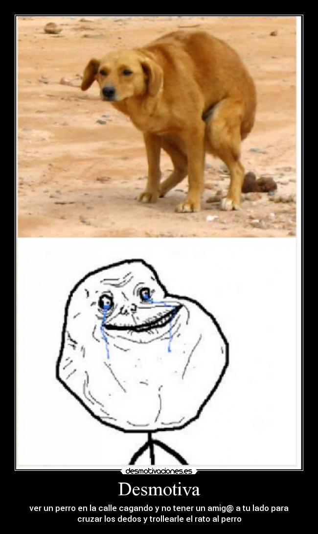 Desmotiva - ver un perro en la calle cagando y no tener un amig@ a tu lado para
cruzar los dedos y trollearle el rato al perro