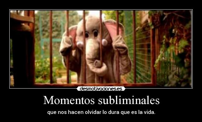 Momentos subliminales - que nos hacen olvidar lo dura que es la vida.