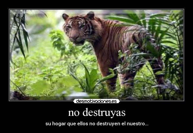 no destruyas - 
