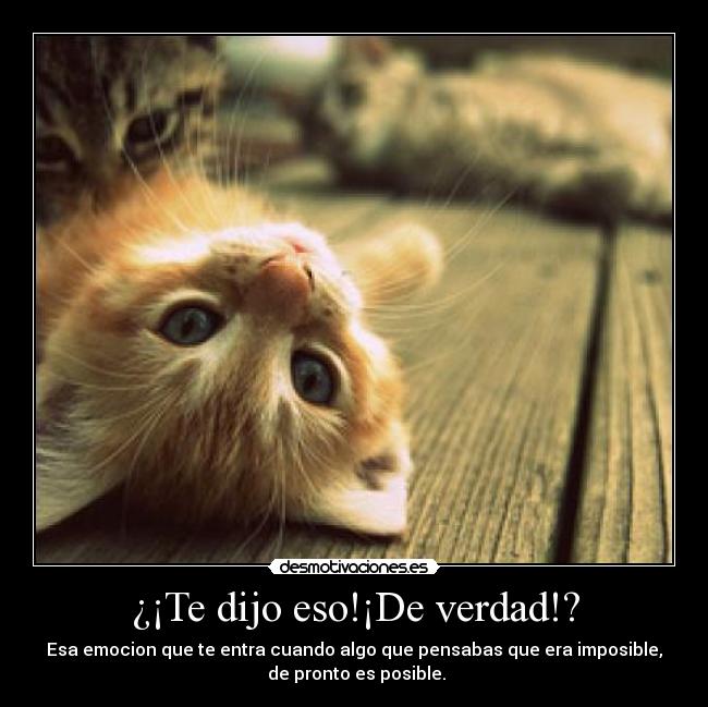 carteles true desmotivaciones