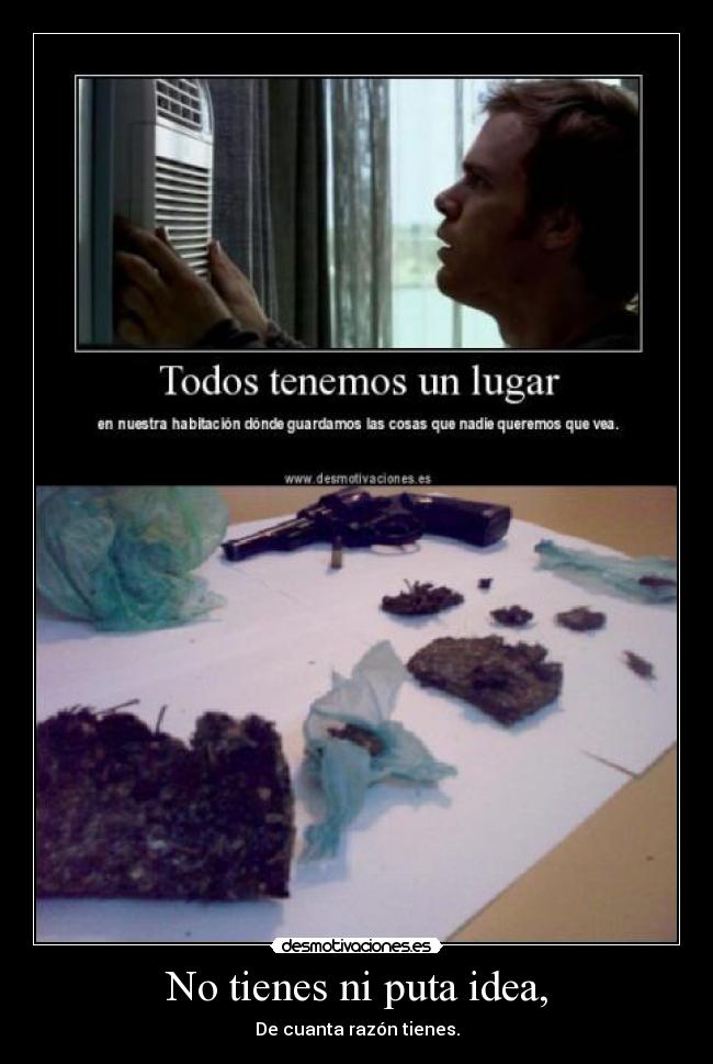 No tienes ni puta idea, - De cuanta razón tienes.