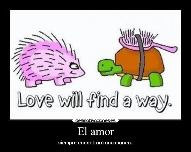 El amor - 