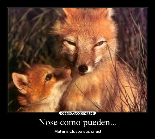 Nose como pueden... - Matar inclusoa sus crias!